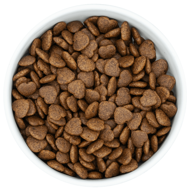 Granulki karmy ProLife Gastrointestinal Digestive Care dla dorosłych psów