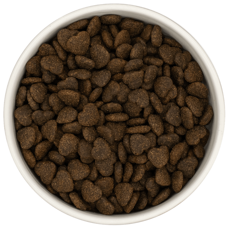 Granulki karmy ProLife Skin & Coat Care dla dorosłych psów